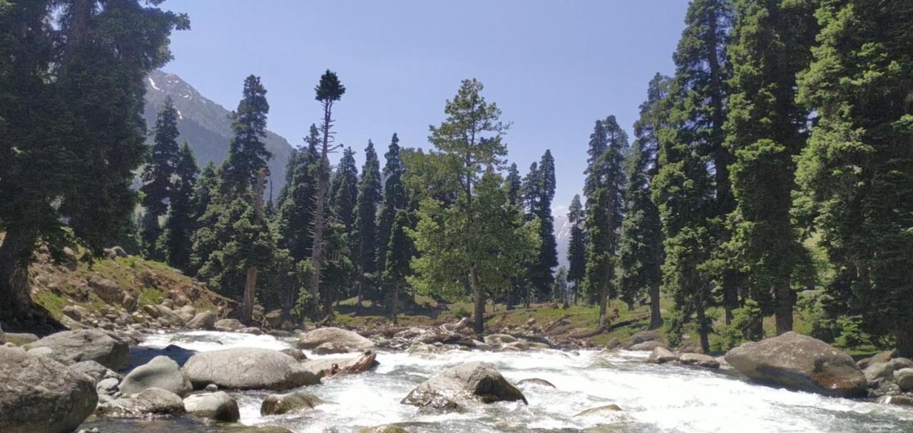 New Relax Inn, Pahalgam, 2 Km From Lidder Valley Exterior foto